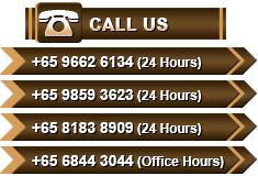Call our 24 hours hotline or office today