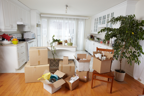 Professional House Moving Services 